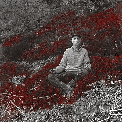 Locandina Alpi Giulie Cinema 2011